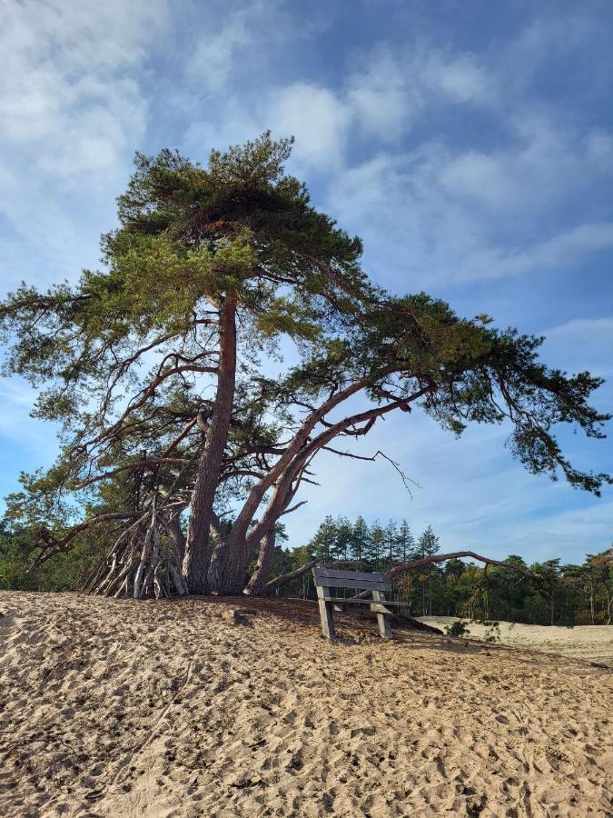 Vechtdal Beerze Buren Exteriör bild